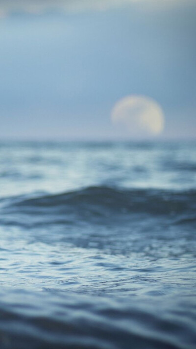 海面