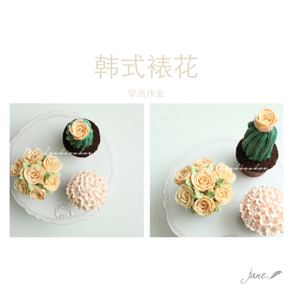 韩式裱花蛋糕NJcake