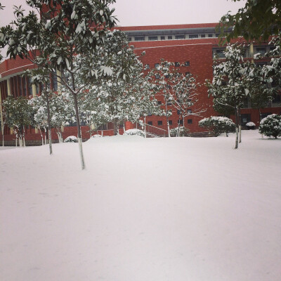 雪花飘落到白头