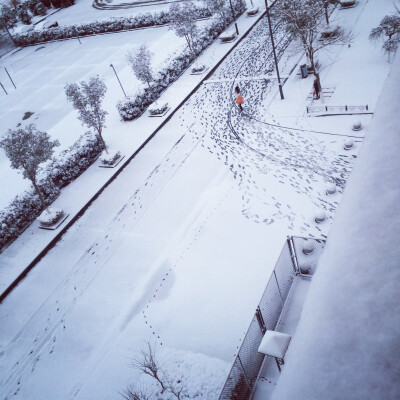 变然成为孤独的风景