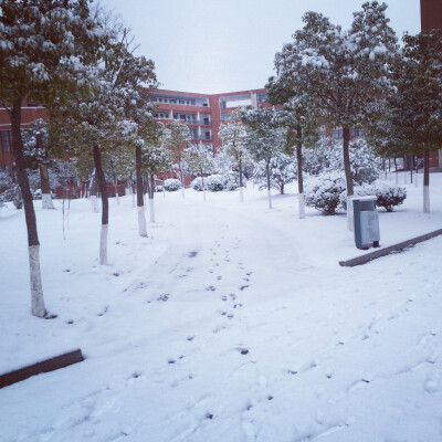 我来到你的城市走过你来时的路