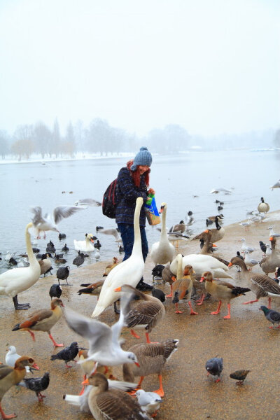 hyde park in winter