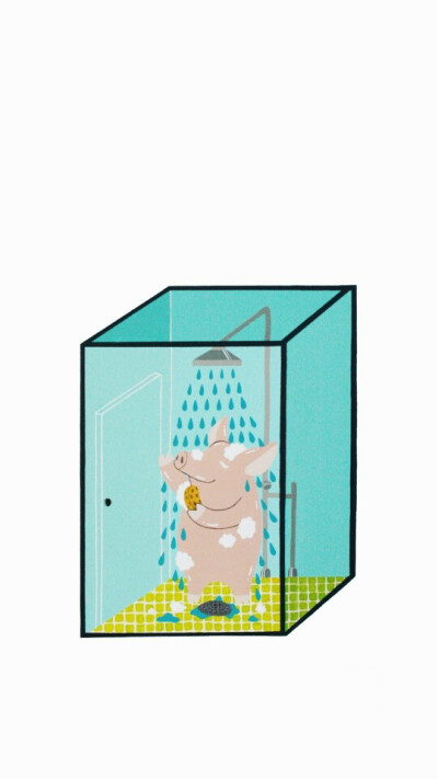 pig shower