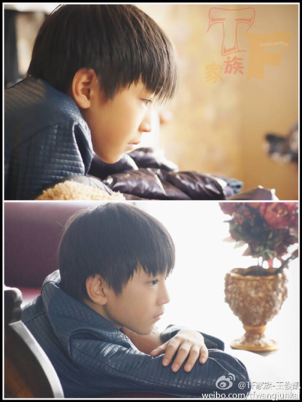 tfboys 王俊凯 NO.115