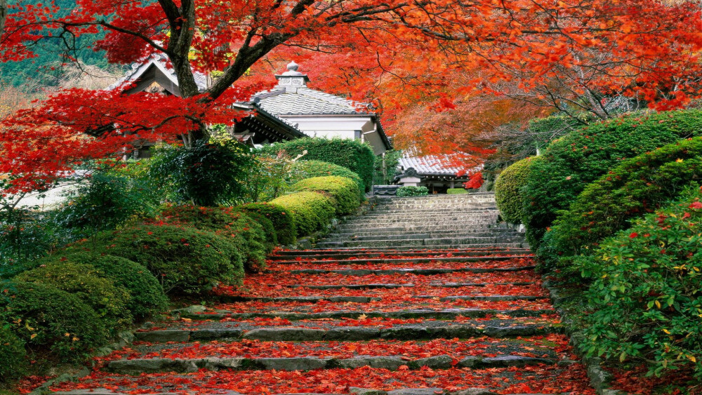 日本和风