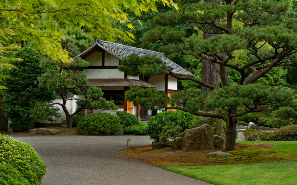 日本和风