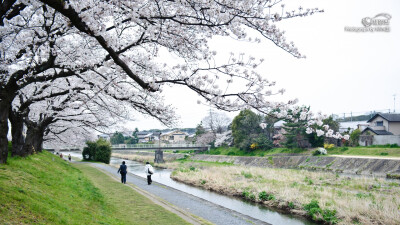 日本和风