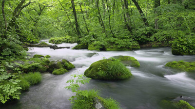 日本和风