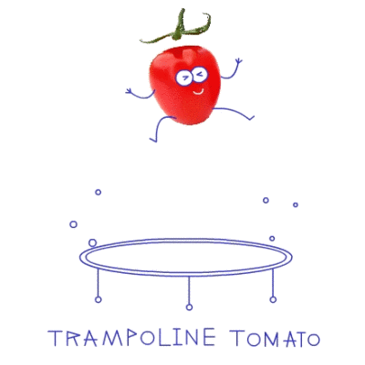 蹦床小番茄