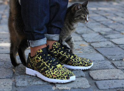 ZX Flux