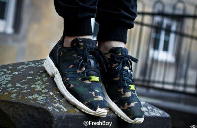 ZX Flux