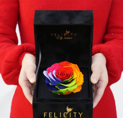 2015情人节 送女生礼物 永生花盒 爱是唯一 玫瑰 彩虹玫瑰