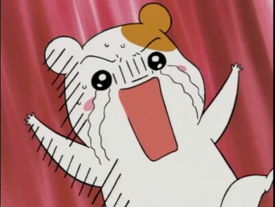 Oruchuban Ebichu看家鼠