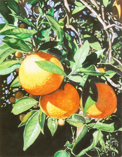 Barbara Jewell（美国）