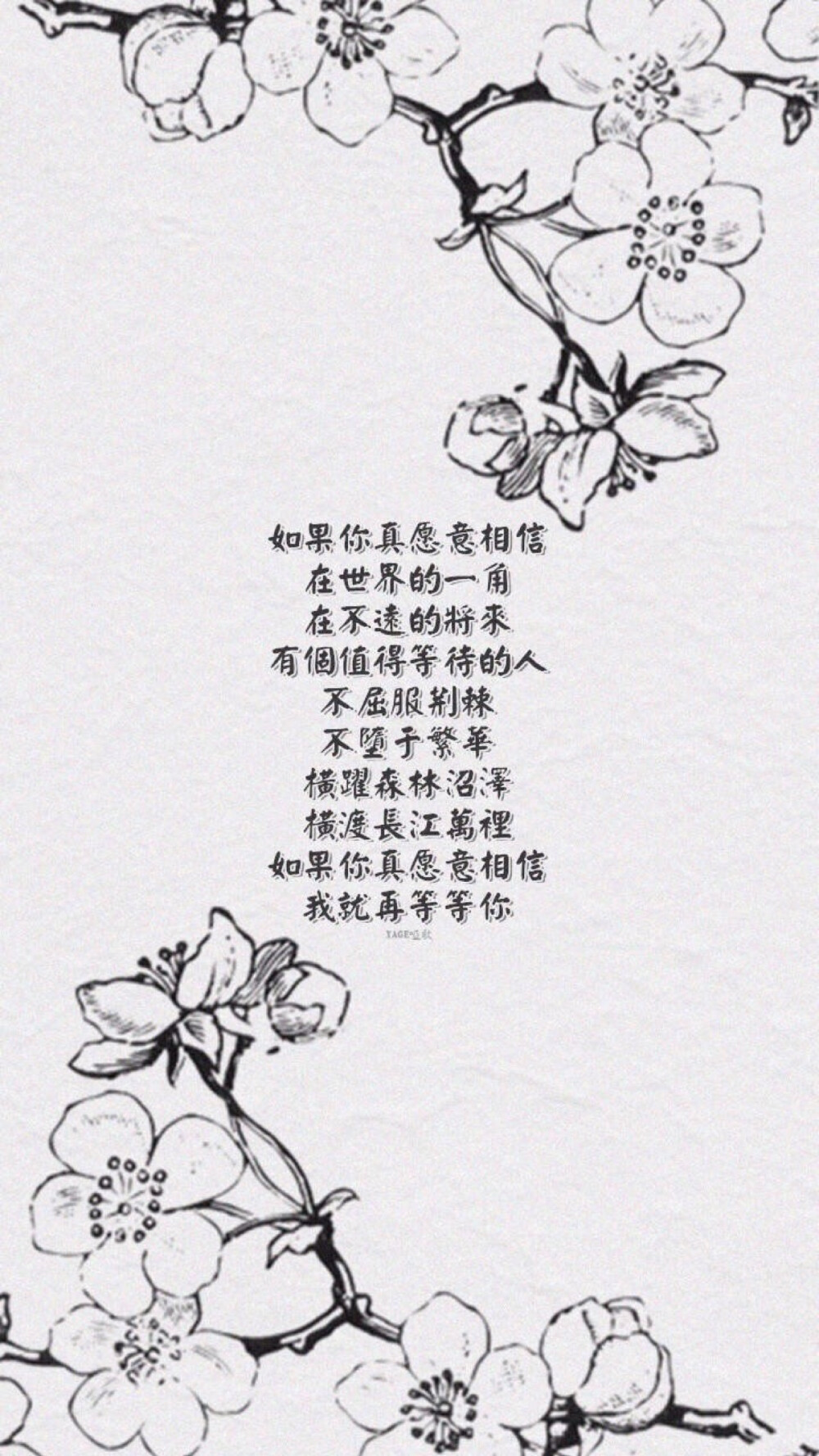 文字壁纸 高清壁纸 iphone壁纸