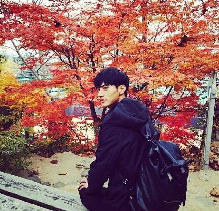 枫叶下的美男子