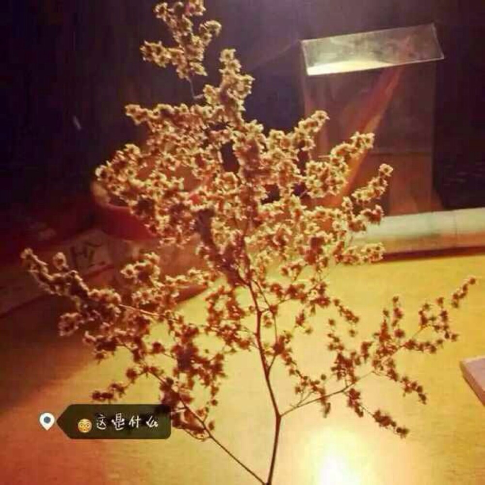 一句习惯了容忍多少心酸失望