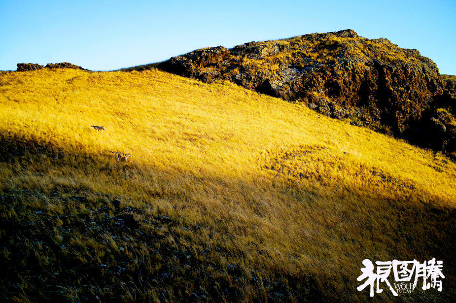 电影《狼图腾》剧照之拍摄场景