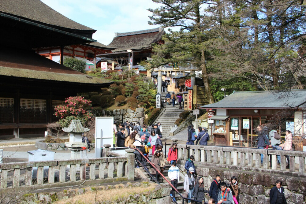 神社依旧热闹（大多中国人）