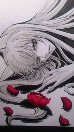 元气少女缘结神  卡明撒嘛~~  巴卫