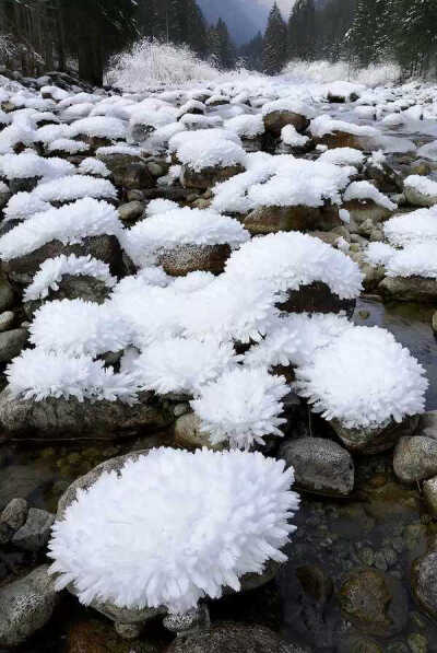 雪冰晶