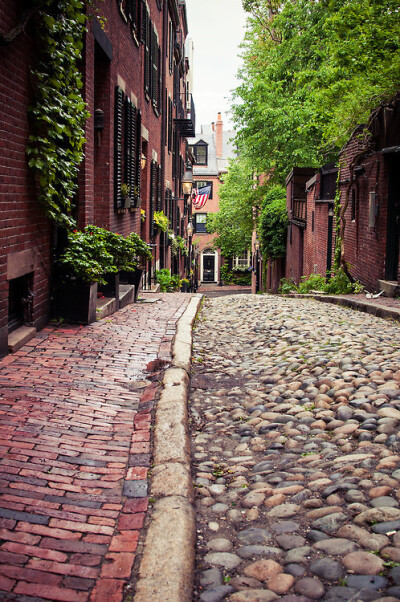 Acorn Street, Boston, Massachusetts ,USA(by Lee Costa)。美国波士顿风味小巷橡子街，位于波士顿市区Beacon Hill的深处，是根据当初殖民地的法规所设计的，也是波士顿出镜率最高的一条小街。橡子街很窄，两旁是红…