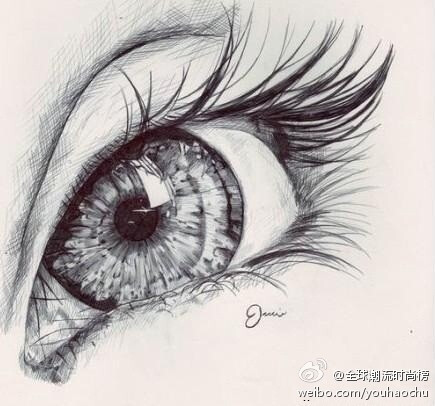 线描画.眼睛