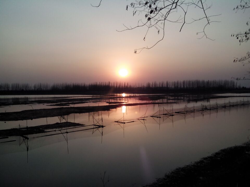 傍晚的夕阳落在江岸上，路人的身上披满了粉金色的霞光。 这个陌生又熟悉的地方，再一次向我呈现出它的温柔。