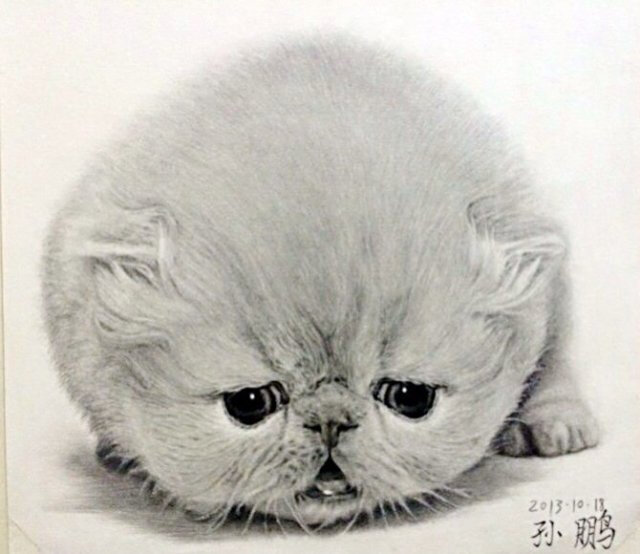  16开 早期铅笔画 素描猫