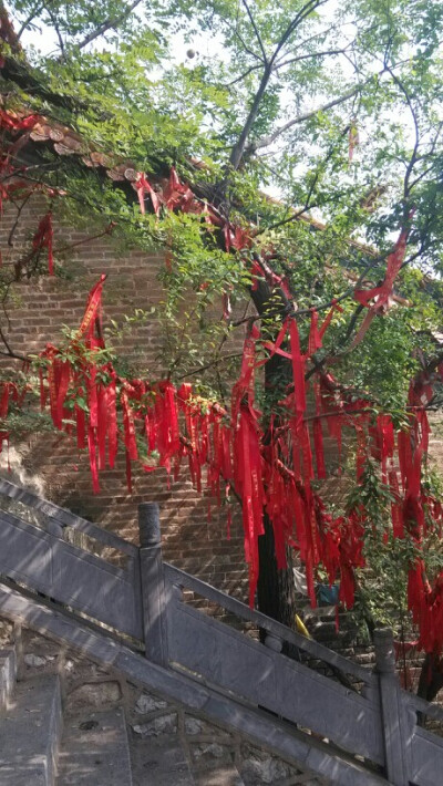 禅院/祈福/风景/唯美/那么多红布条，那么多愿望，纵然实现不了，也还是美好。