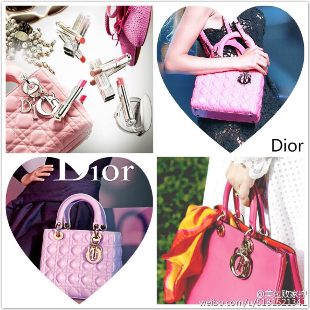 Dior 戴妃包