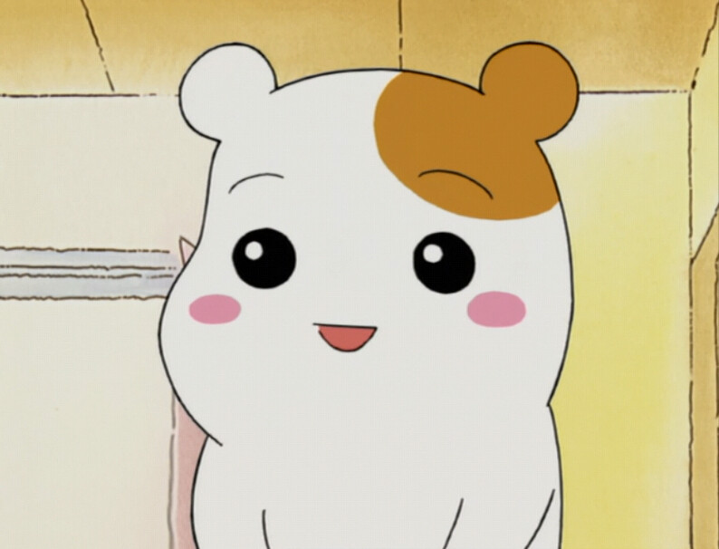 自截oruchubanebichu看家鼠头像表情萌