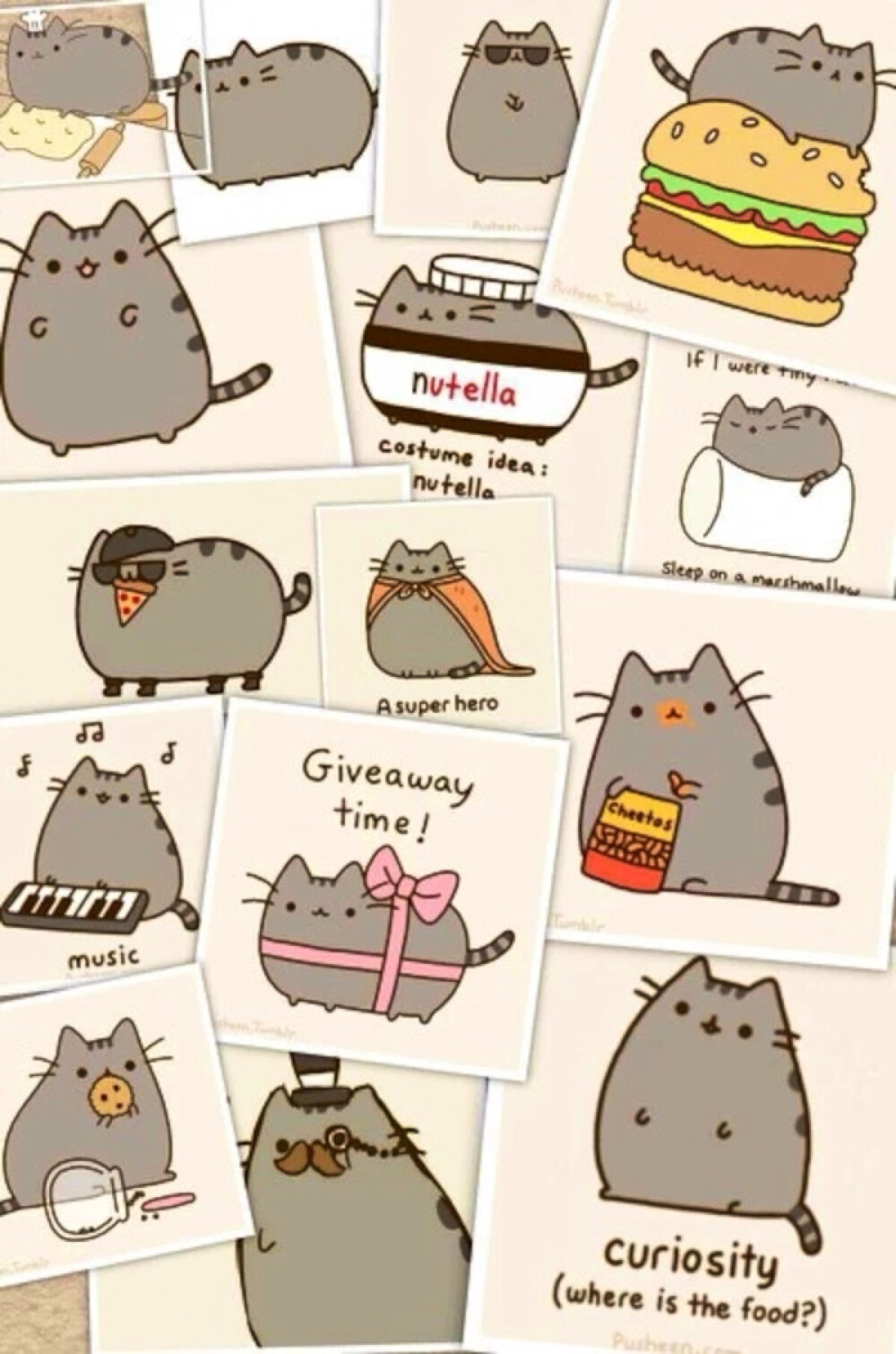 pusheen