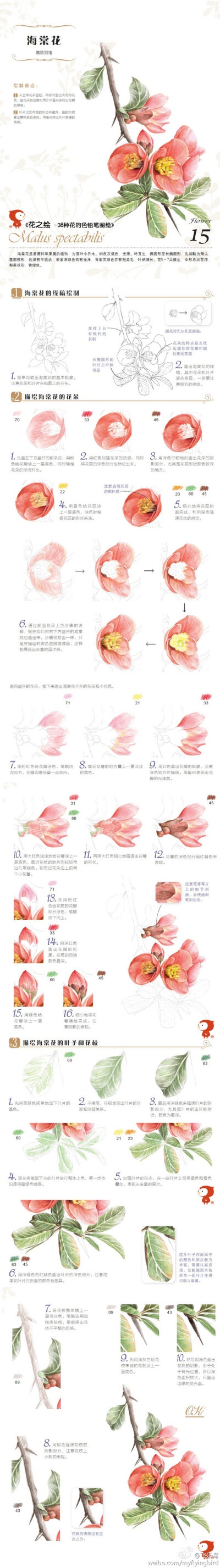 飞乐鸟——花之绘，海棠