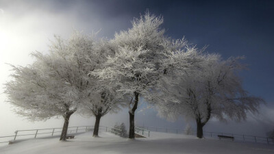 雪是一种能够令人产生多种情绪的东西，特别是在一场大雪后的森林中，大地被雪花装饰得像铺上白色的地毯一样的时候，漫天的白色让人仿佛置身于梦境。今日小编又来为大家送上一组冬季清新唯美雪景桌面壁纸，希望能让你…