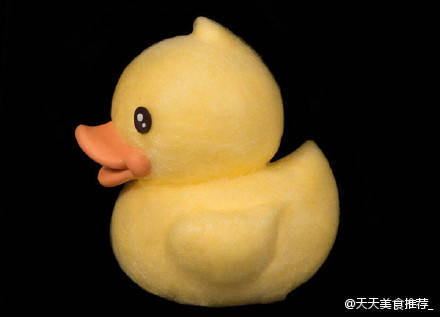 duck