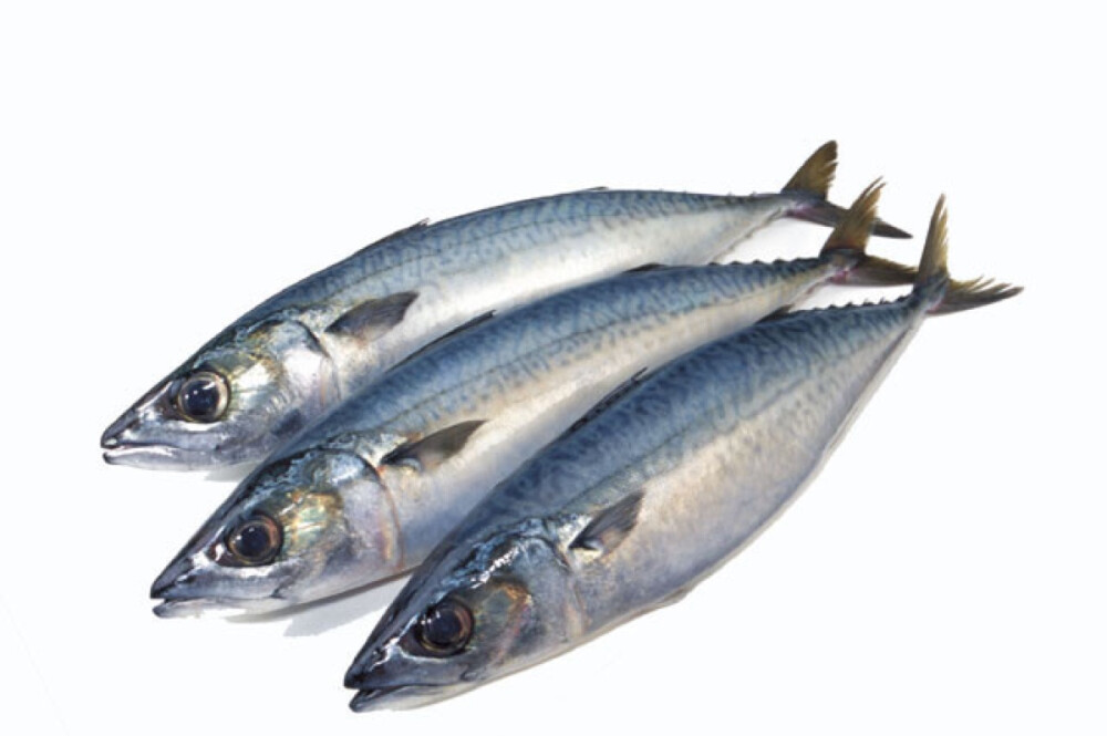 名称 沙丁鱼（Sardine）鲱科某些食用鱼类的统称。也指制成油浸鱼罐头的普通鲱(Clupea harengus）以及其它小型的鲱或鲱状鱼。 别称：沙鲻 沙脑鰛 大肚鰛 真鰛 南美拟沙丁鱼