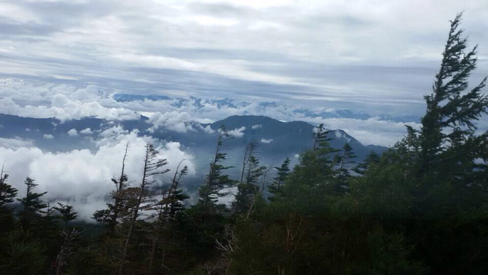 富士山 云海