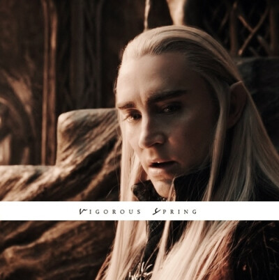 瑟兰迪尔 Thranduil