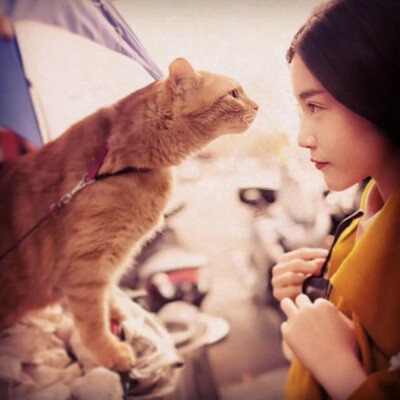 女生头像 欧美清新原宿女神 @陈青徵