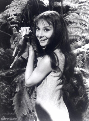 奥黛丽赫本 Audrey Hepburn 人间天使 高清 壁纸 女头