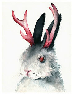 插画#水彩#长鹿角的兔子