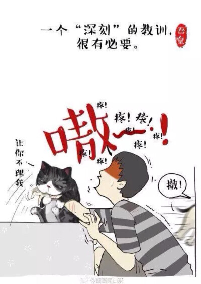 吾皇万岁