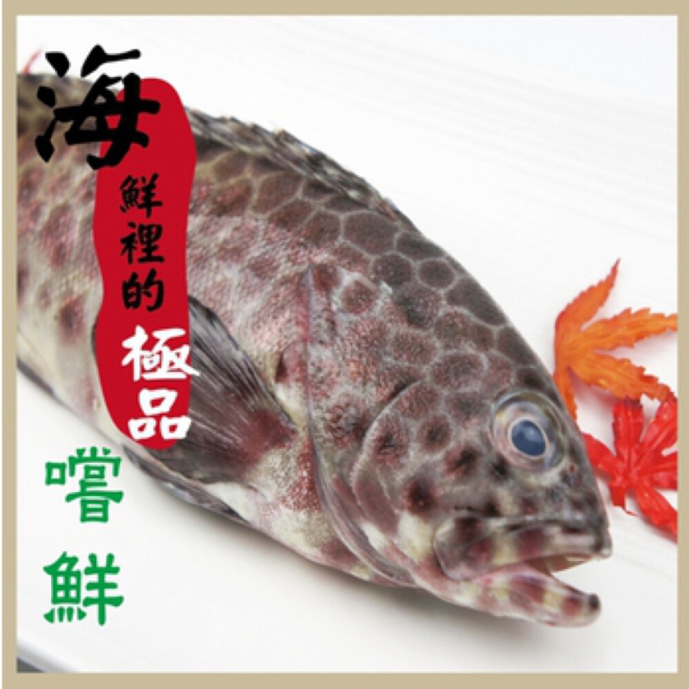 石斑魚的英語名稱 grouper 來自於葡萄牙語 garoupa 一詞，跟英語裡的 group （團體）無關。