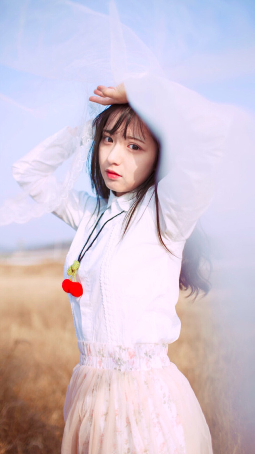 壁纸