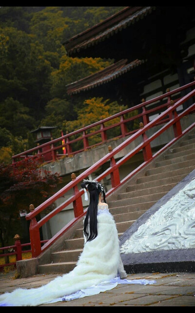 【祸国cos】叶曦禾cn井井