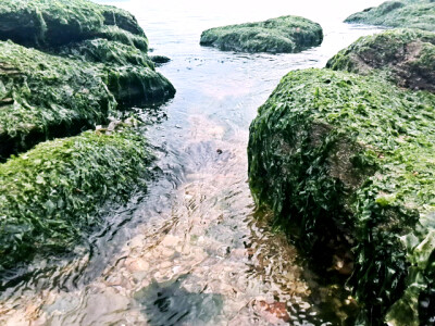 海边风景美丽大连