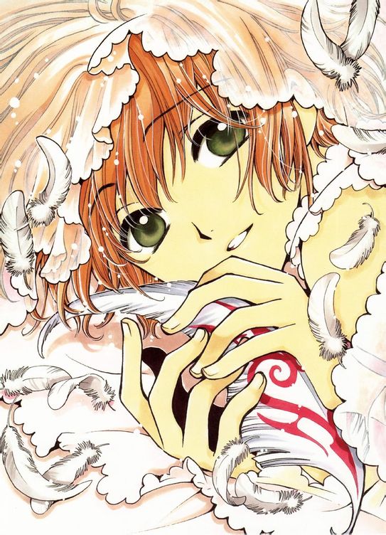 翼年代记~clamp