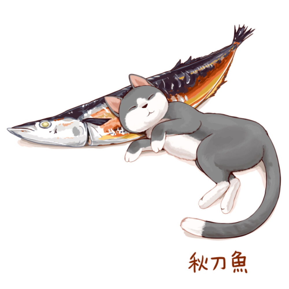 睡猫与美味.