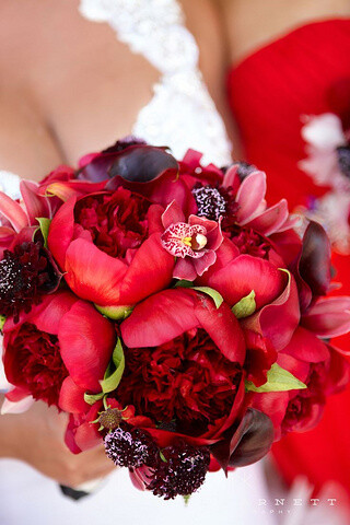 Beautiful red peonies bouquet by Jennifer Cole Forals for the bride's red themed wedding.